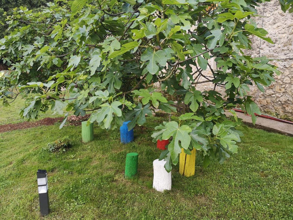 Can Resiu Seriñá Kültér fotó